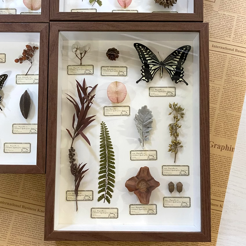 2087 Boutique series Vintage Butterfly Plant Specimen box Wall Art Handmade Aesthetic Home Decor Birthday Gift Wedding Christmas Party Supplies